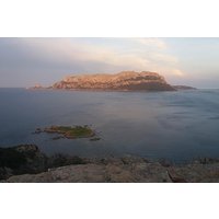 Sardinia's Wine Experience