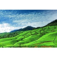 Highlights Of Sri Lanka | 5 Nights 6 Days
