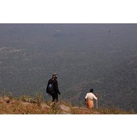 Ooty - Day Trip to Bellikkal Estate