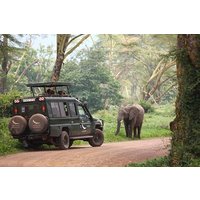 8 Days Best of Tanzania Wildlife Safari