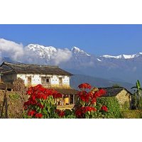 Australian Camp Dhampus Trek-2 Days