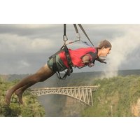 Flying Fox