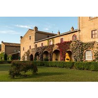 Wine Tour Bolgheri Half day Shore Excursion from Piombino Port