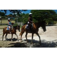 Horseback Riding Dunn's River Falls Adventure from Montego Bay