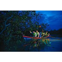 Kuala Selangor Wildlife & Fireflies Night Tour with Dinner