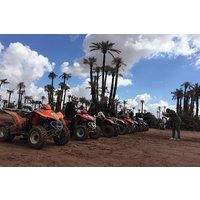2 Hours QUAD BIKING in the Palm Oasis (Palmerie) MARRAKECH
