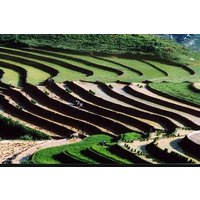 2-Days 3-Nights Sapa Trek with Night Train from Hanoi