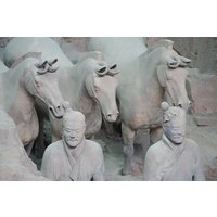 Private Tour: 2-day Xian Trip from Shanghai by Flight