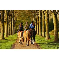 Umbria, Horseback riding in the Umbrian countryside with lunch