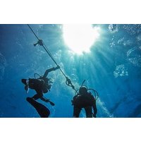 Full-Day Catalina Island Scuba Diving Tour from La Romana