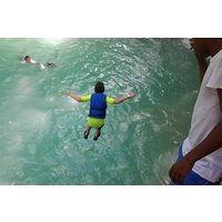 Blue Hole, Zipline and Dunn's River Falls from Falmouth
