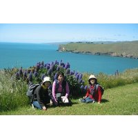 Christchurch Coastal Hiking Tour