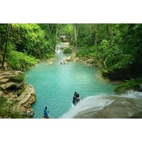 Horseback Riding, Blue Hole, Luminous Lagoon, River Tubing or Rafting Tour