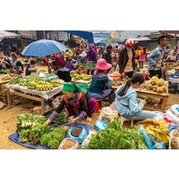 Sapa, Bac Ha Market Tour - 1 Day Tour