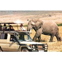 6-Day Tanzania Northern Circuit Camping Safari