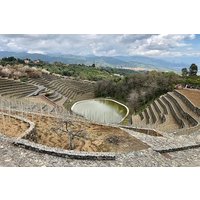 Etna tour 4x4 & Wine Experience in a farm
