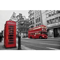 Total London Experience including Blue Badge Tour Guide
