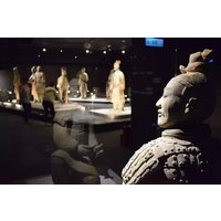 Private Tour: Terracotta Warriors and Xi'an City Wall Bike Tour