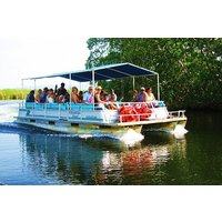 Black River Safari Tour from Kingston