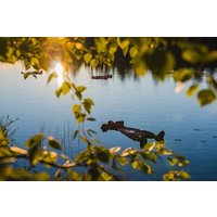 Summer Day or Night Floating in Rovaniemi