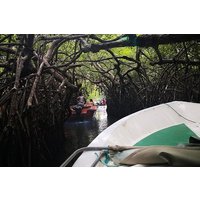Bentota City Tour from Colombo Seaport