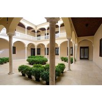 Private visit to Picasso Museum in Malaga with official tour guide