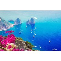 Sorrento, Capri and Positano: full-day private tour from Rome