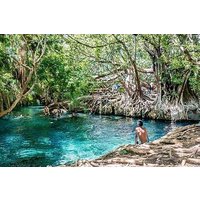 Kikuletwa Hotsprings/ Maji moto Day Trip