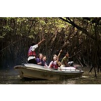 Mangrove Forest Tour In Langkawi