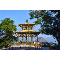 Tour 7 ( 4 hours ) : Tijuca National Park and Favela