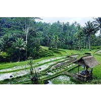 Best of Bali private customized tours