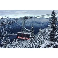 Vancouver Perfect Day Tour Grouse Mountain`& Capilano Suspention Bridge Private