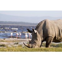 2 days L.Nakuru, L.Naivasha & Crescent Island tour From Nairobi