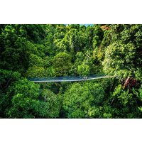 Chauffeur: Taman Negara to Singapore Van Transfer