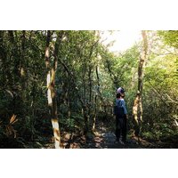 Magical Forest Trail(Departure with 4 ppl.)