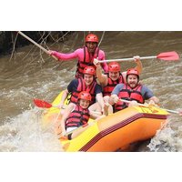 Ayung River Whitewater Rafting and Ubud Arts Village Tour