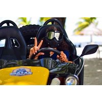 Roatan All-Inclusive Buggy Adventure, Zipline, Beach Pass plus Monkey-Sloth Park