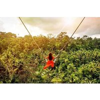 Bali Swing Experience and Ubud Tour