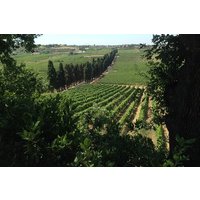 Roman Countryside, Castles and Lakes, Winery