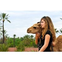 Atlas Mountains & 3 Valleys Day Tour Fro Marrakech Including Lunch & Camel Ride