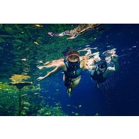 Tour Xenotes Departure from Playa del Carmen