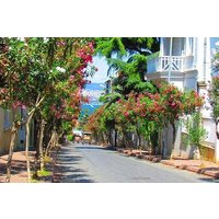 Buyukada Princes’ Island Guided Day Tour with lunch from Istanbul