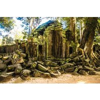 Beng Mealea Temple and Rolous Group