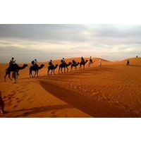 Dubai Evening4x4Desert Safari,BBQ Dinner,Belly Dance,Camel Ride