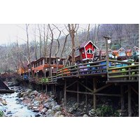 Sapanca Masukiye Zoo private Tour From istanbul VIP Minivan Best Quality