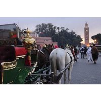 Marrakech Caleche ride by night with Free Time in Jemaa El-Fna