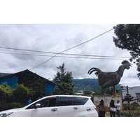 2 days VIP Special Tour - Exploring Dalat City, countryside and waterfalls