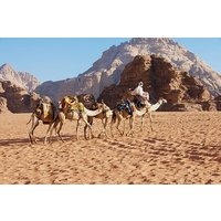 Petra and Wadi Rum Day Trip from Amman