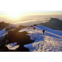 Mt Kilimanjaro Climbing; 7 Days Lemosho Route