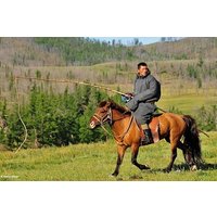Peaceful Mongolia tour